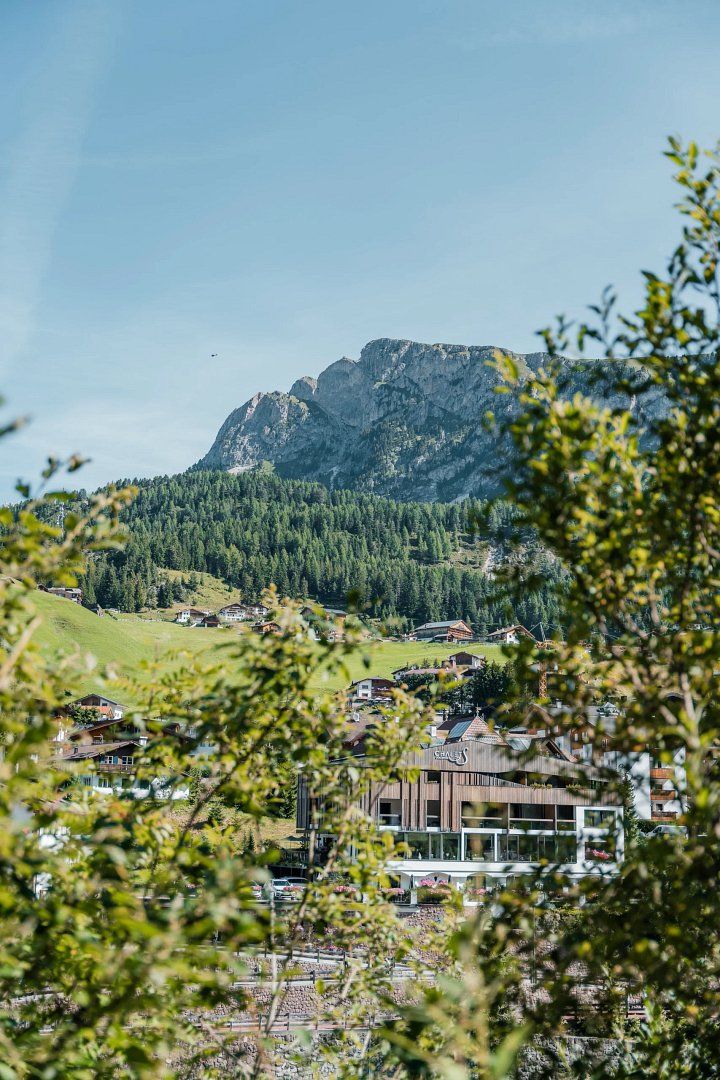 MONTE44